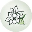 Natural, Pure & Premium Ingredients