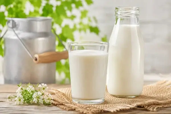 Milk Protein